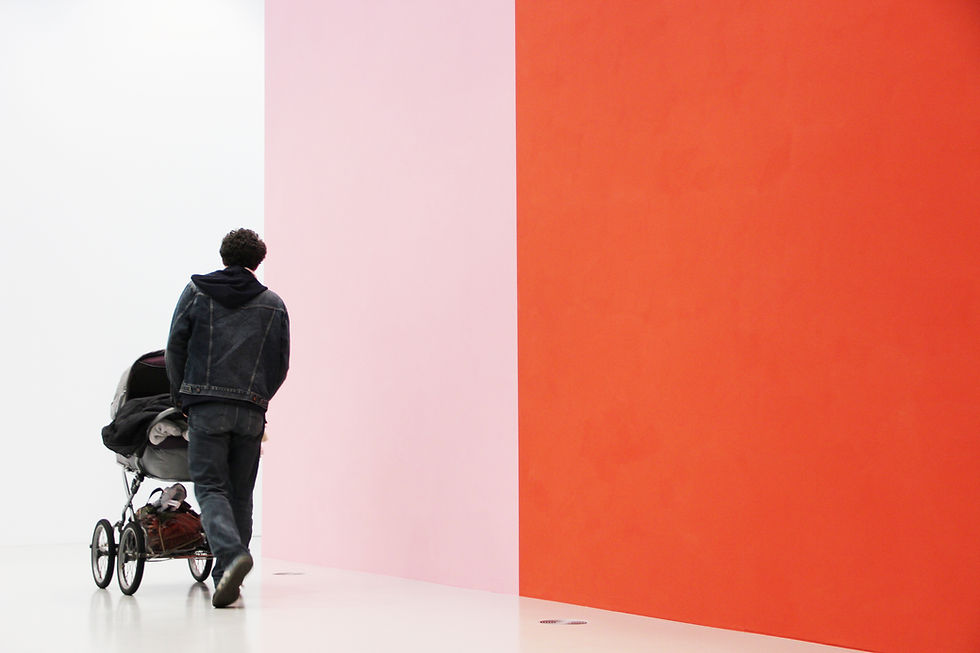 20 Blank Canvases  - Melinda Rhodes